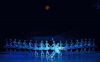 Лебединое озеро (П. И. Чайковский) в исполнении государственного балета Грузии
