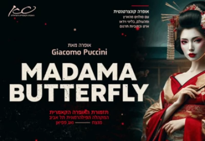 Мадам Баттерфляй